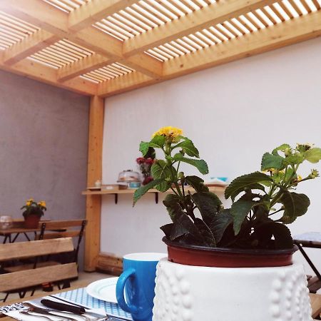 B&B Sea Salt Terrasini Dış mekan fotoğraf